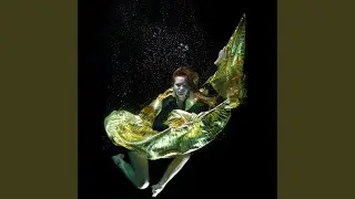 Dance Like David