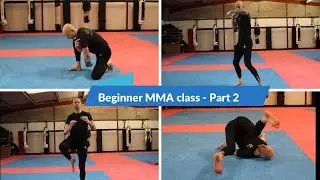 MMA training - Part 2