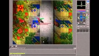 Anti-bot Video (Custom RpG) Tibiaking
