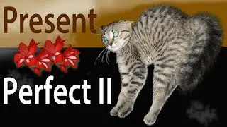 Present Perfect 2