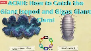 ACNH Diving: How to Catch Giant Isopod and Gigas Giant Clam!