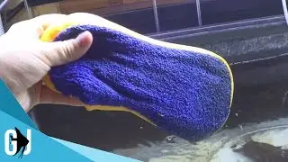 #381: How to Clean Glass Aquariums with No Substrate - Tank Tip