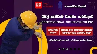 DP Wall Tile  ප් රායෝගික ක් රියාකාරකම් 04