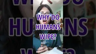 Why do humans wipe?  #funny #learning #facts #animation