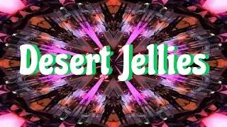 Desert Jellies - Floatin' in a Barrel // Spaces (Live)
