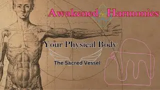 Ep. 08 Your Physical Body | The Sacred Vessel
