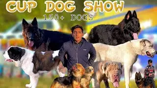 Biggest Dog Show in Pakistan ( German Shepherd, Labrador, Husky, Pitbull )
