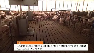 Reality Check About Pork Tariffs