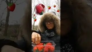 Strawberries on winter, why not? #shorts #strawberry #netherlands #winter #wageningen #europe