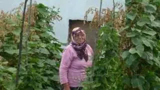 Mersin Beldesi Orta Mahalle Halkı