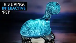 THE DINO PET | A Beautiful Living and Glowing Pet