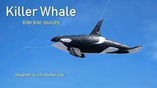 Killer Whale kite 