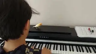 Prelude J.S.Bach # video