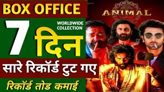 Animal 6th Day Box Office Collection | Animal Collection, Animal 7th Day Collection, Ranbir Kapoor