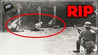 The N4zi Purge: When Hitler Ordered the ASS4SSINATION of Germans