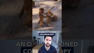 The Monkey Doctor 🐒