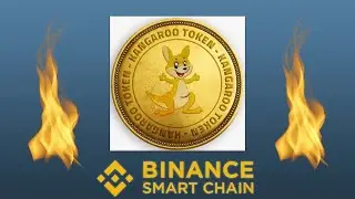 Kangaroo Token 20 ARALIK bizlerle olacak Proje hakkında bilgilendirme