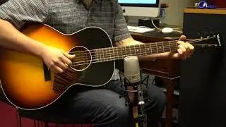 Waterloo WL14 LTR Ladder Braced Acoustic Guitar Demo