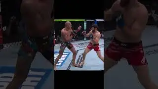 Magomed Ankalaev wobbles Alex Pereira! 😱 #UFC #UFCIndia #UFC313