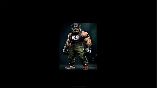 K9Boxing