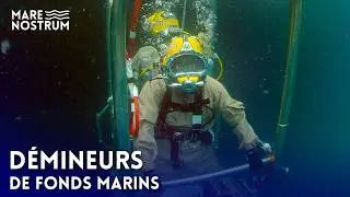 Démineurs de fonds marins : un métier à haut risque - Arvor - reportage complet