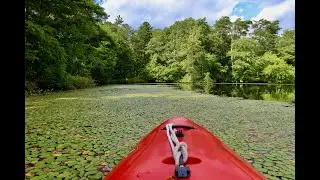 Of Living Things In Osprey Cove
