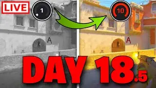 🟠Road to Level 10 on FACEIT🟠18.5/365🟠!socials
