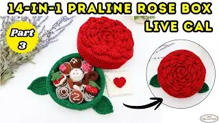 14-in-1 Chocolate Praline Rose Box with Heart Envelope Pattern - LIVE CAL Part 3