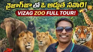 వైజాగ్ జూ ఫుల్ టూర్ 🦁🐘 | అన్ని జంతువులు ఒకే వీడియోలో | Vizag Zoo Adventure Telugu