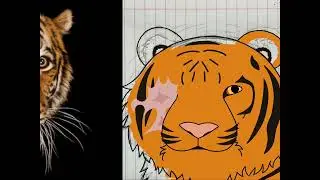 Speed paint of a Siberian Tiger 