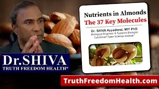Dr.SHIVA: Nutrients In Almonds - The 37 Key Molecules