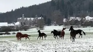 3. Januar 2026