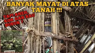 Кладбище деревни Терунян - Бали