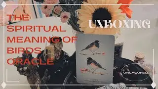 Unboxing the Spiritual Meaning of Birds Oracle