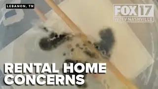 Tennessee renter claims she moved into mold-infested home
