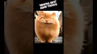 Ranking the best ASMR trends #asmrtrending #asmrcrushing #asmrpets #asmrsandcrush #shorts #trend