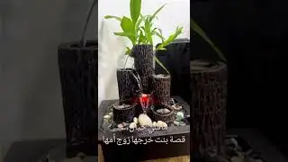 دخل راجل لحياتنا ........وكلشي تبدل 