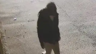 Georgia Self Storage Facility the Site of Attempted Vehicle Break-in, Arrest