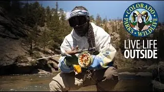 Fishing for Hip Hop: Colorado Style