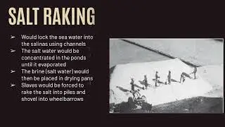 The History of Mary Prince: The Salt Trade in Grand Turk   HD 1080p