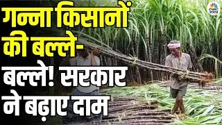 Sugar Sector Gets Green Signal for Export: गन्ना किसानों की बल्ले-बल्ले! सरकार ने बढ़ाए दाम