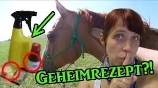 [DiY] Mähnen- und Fliegenspray ganz einfach selber machen - zwei Geheimrezepte | Serenity Horses