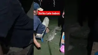 Lomba galatama lele,strike babon 7 kg. #hobimancing #mancingliar #mancingmania #tutorialmancing