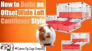 Building a Cantilever Offset For a Wide Loft | C&C Guinea Pig Cages