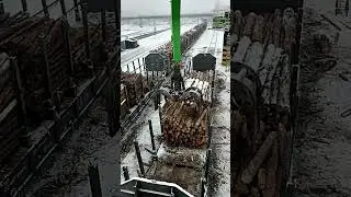 #logloader Log Loader