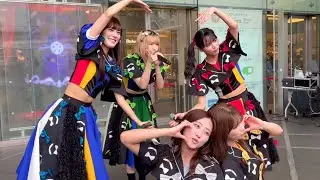 【豆柴の大群】/「豆3(まめさんじょう)」 リリースイベント 1部 at 浦和パルコ 2025/05/18(日)