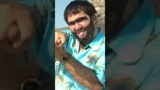 nah &ccedil;ekme akımı