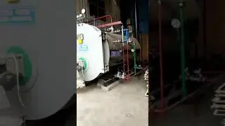 Oil gas fired steam boiler working   WNS series
