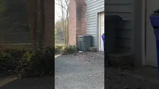 March 7, 2023 leaf ￼tornado ￼