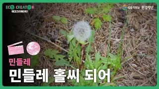 [GS에코크리에이터/일반] 민들레 - 민들레 홀씨 되어